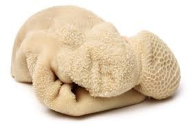 Tripes d'agneau (كرشة خروف)